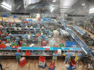 新理念、新模式、新產業--嘉魚縣水產養殖轉型升級創新模式